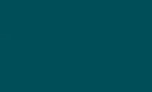 Duck blue