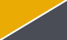 Mustard yellow / Graphite