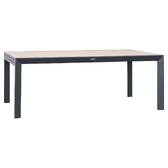 Rectangular extendable garden table EVASION Honey / Graphite 12 seats - Epoxy-coated aluminum Honey / Graphite