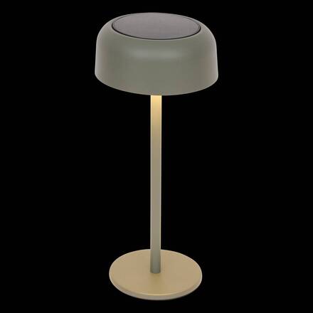 Lampe solaire BOLTY Laurier H.30 cm - Aluminium