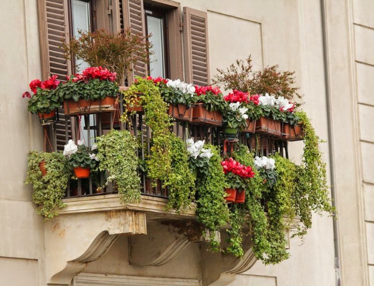 Design sans titre (5)